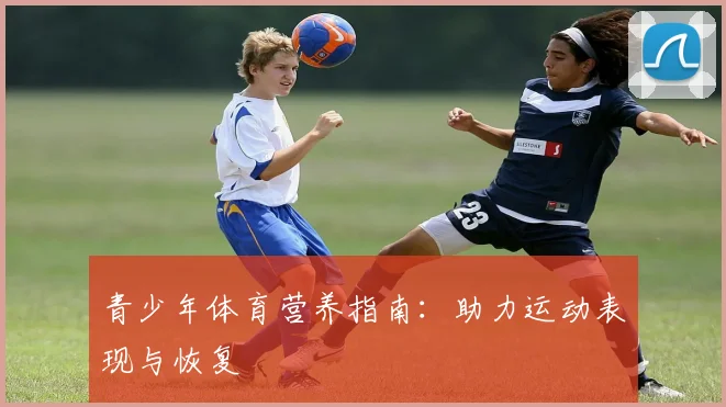 青少年体育营养指南:助力运动表现与恢复