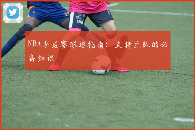 NBA季后赛球迷指南：支持主队的必备知识
