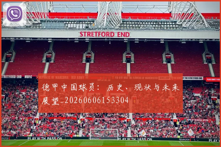 德甲中国球员：历史、现状与未来展望_20260606153304