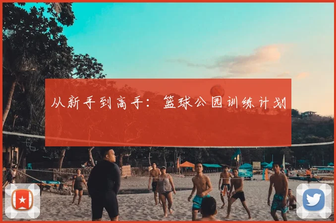 从新手到高手:篮球公园训练计划