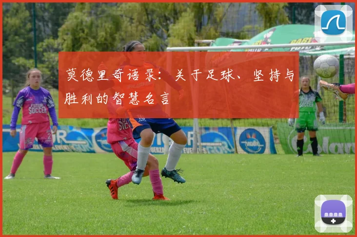 莫德里奇语录:关于足球、坚持与胜利的智慧名言